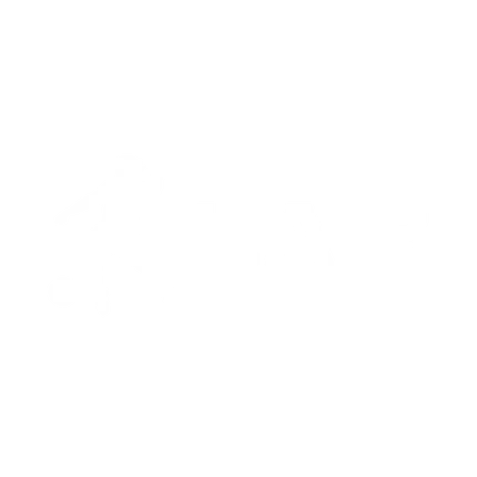 LAIB
