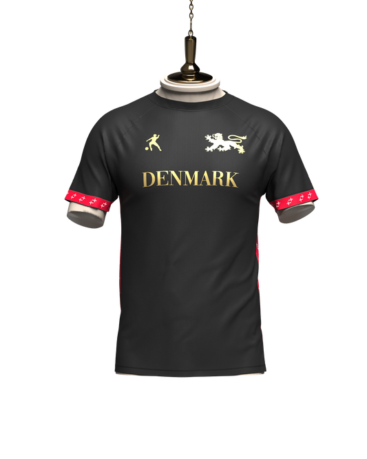 DENMARK FOOTBALL SHIRT - LAIB