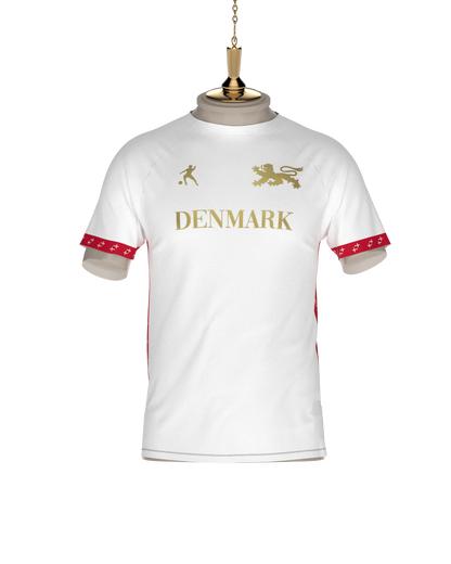 DENMARK FOOTBALL SHIRT - LAIB
