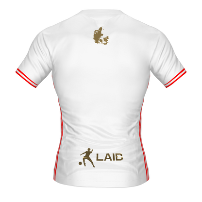 DENMARK FOOTBALL SHIRT - LAIB